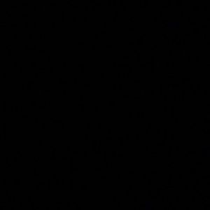 Meet your Posher, Janice